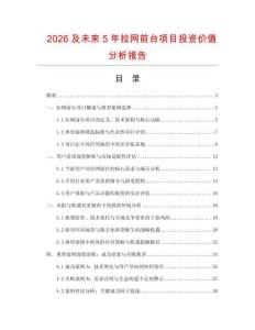 2026及未來5年拉網前臺項目投資價值分析報告