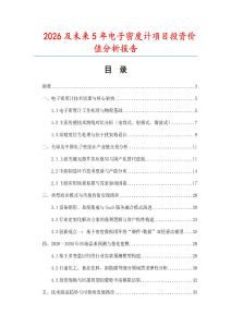 2026及未來5年電子密度計項目投資價值分析報告