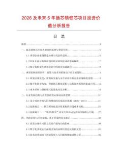 2026及未來5年插芯鎖鎖芯項目投資價值分析報告