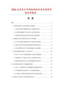 2026及未來5年網絡線組件項目投資價值分析報告
