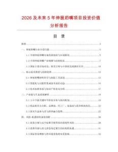 2026及未來5年伸展奶嘴項目投資價值分析報告