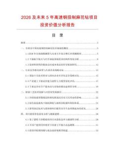 2026及未來5年高速鋼扭制麻花鉆項(xiàng)目投資價(jià)值分析報(bào)告