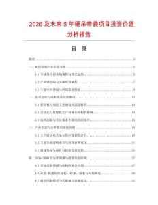 2026及未來5年硬吊帶袋項目投資價值分析報告