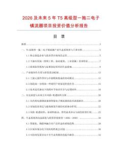 2026及未來5年T5高級型一拖二電子鎮流器項目投資價值分析報告