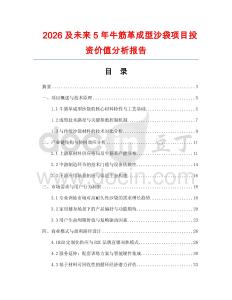2026及未來5年牛筋革成型沙袋項目投資價值分析報告