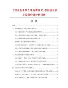 2026及未來5年消費性IC應用技術項目投資價值分析報告