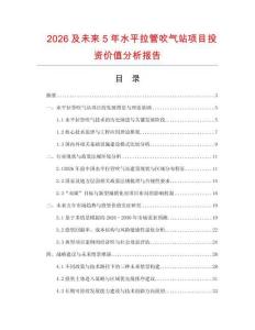 2026及未來5年水平拉管吹氣站項(xiàng)目投資價(jià)值分析報(bào)告