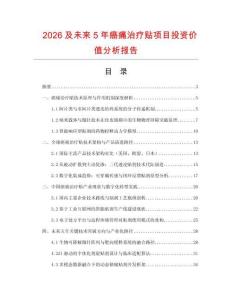 2026及未來5年癌痛治療貼項目投資價值分析報告
