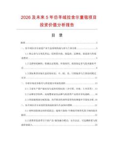 2026及未來5年仿羊絨拉舍爾童毯項目投資價值分析報告