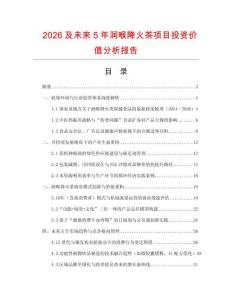 2026及未來5年潤喉降火茶項目投資價值分析報告