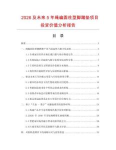2026及未來5年繩編圓柱型腳踏墊項目投資價值分析報告