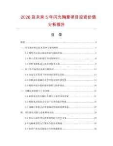 2026及未來(lái)5年閃光胸章項(xiàng)目投資價(jià)值分析報(bào)告