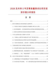 2026及未來5年瀝青含量測試儀項目投資價值分析報告