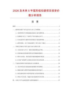 2026及未來5年弧形紐扣袋項(xiàng)目投資價值分析報告