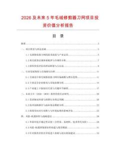 2026及未來5年毛絨修剪器刀網項目投資價值分析報告