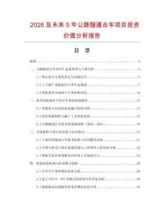 2026及未來5年公路隧道臺車項目投資價值分析報告
