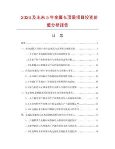 2026及未來5年金屬長頂梁項目投資價值分析報告