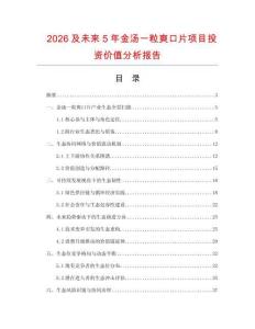 2026及未來5年金湯一粒爽口片項(xiàng)目投資價(jià)值分析報(bào)告