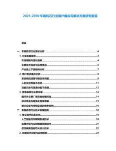 2025-2030車載機(jī)芯行業(yè)用戶痛點(diǎn)與解決方案研究報告