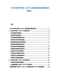 2025城市空中交通（UAM）基礎設施規劃與運營模式分析報告
