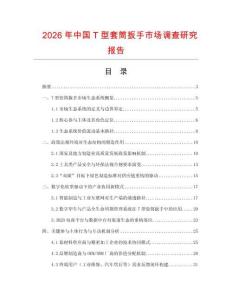 2026年中國T型套筒扳手市場調查研究報告