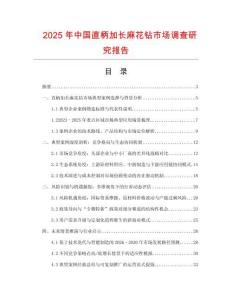 2025年中國直柄加長麻花鉆市場調查研究報告