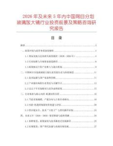 2026年及未來5年內中國網目分劃玻璃放大鏡行業投資前景及策略咨詢研究報告
