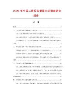 2025年中國(guó)三層拉條提籃市場(chǎng)調(diào)查研究報(bào)告
