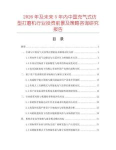 2026年及未來5年內中國充氣式仿型打磨機行業投資前景及策略咨詢研究報告