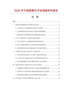 2025年中國搓腳石市場調(diào)查研究報告