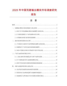 2025年中國雙路輸出模塊市場調查研究報告