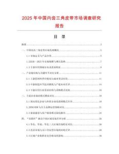 2025年中國內齒三角皮帶市場調查研究報告