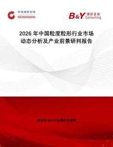 2026年中國粒度粒形行業市場動態分析及產業前景研判報告