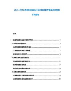 2025-2030西伯利亞通訊行業(yè)市場現(xiàn)狀考察及未來發(fā)展方向報告