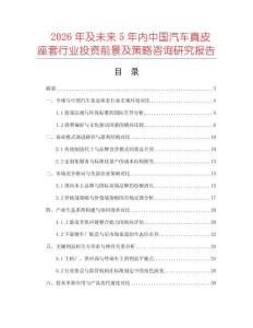 2026年及未來5年內中國汽車真皮座套行業(yè)投資前景及策略咨詢研究報告