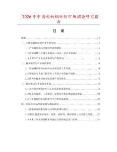 2026年中國彩柄鋼絲鉗市場調查研究報告