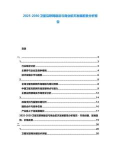 2025-2030衛星互聯網建設與商業航天發展前景分析報告