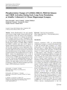 Phosphorylation changes of CaMKⅡ, ERK12, PKBAkt Kinases and CREB activation during early long-term potentiation at Schaffer Collateral-CA1