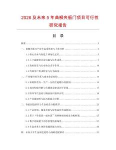 2026及未來(lái)5年曲柳夾板門項(xiàng)目可行性研究報(bào)告