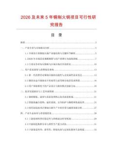 2026及未來5年銅制火鍋項目可行性研究報告