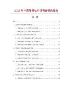 2026年中國等柄鉆市場調查研究報告