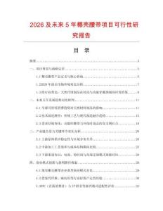 2026及未來5年椰殼腰帶項目可行性研究報告