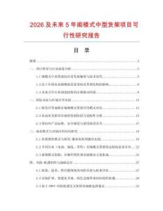 2026及未來5年閣樓式中型貨架項目可行性研究報告