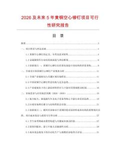 2026及未来5年黄铜空心铆钉项目可行性研究报告