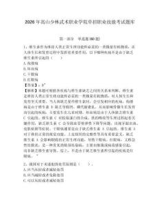 2026年嵩山少林武術(shù)職業(yè)學院單招職業(yè)技能考試題庫及答案詳解（各地真題）