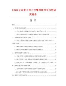 2026及未來5年刀片鎳網項目可行性研究報告