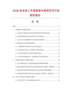 2026及未來5年弧面型支架項目可行性研究報告