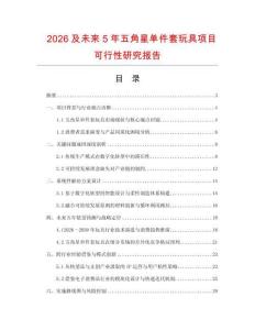2026及未來5年五角星單件套玩具項目可行性研究報告