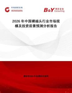 2026年中國裸端頭行業市場規模及投資前景預測分析報告