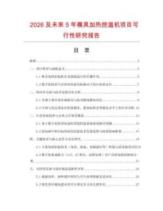 2026及未來5年模具加熱控溫機項目可行性研究報告
